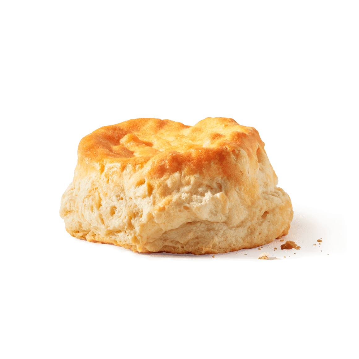 Biscuit